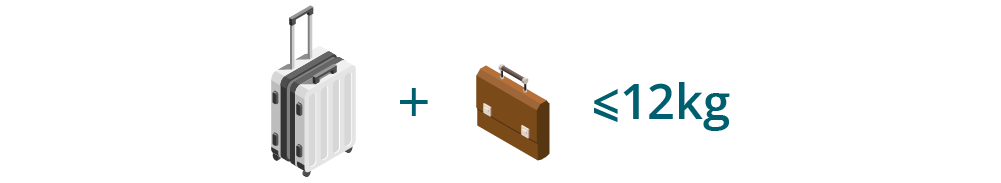 Quy-dinh-hanh-ly-xach-tay-VNA-hang-pho-thong (5).png