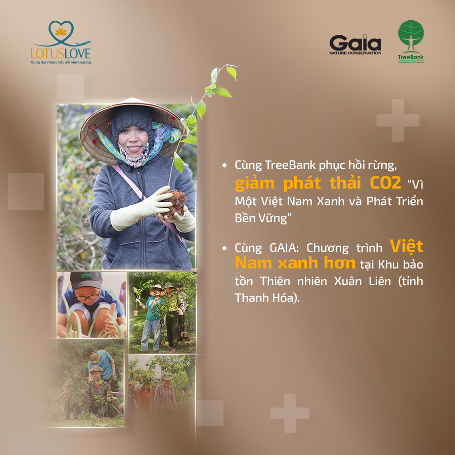 Donate mile_Vie_4.jpg